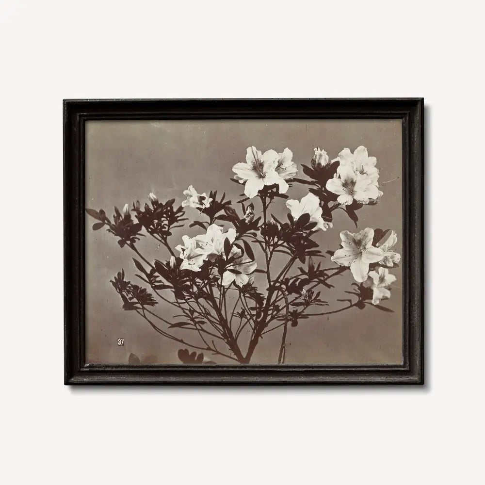 Moody Floral Vintage Print Albumen Print Large Beige Artwork By Charles Aubry Poster by DesignBohemian