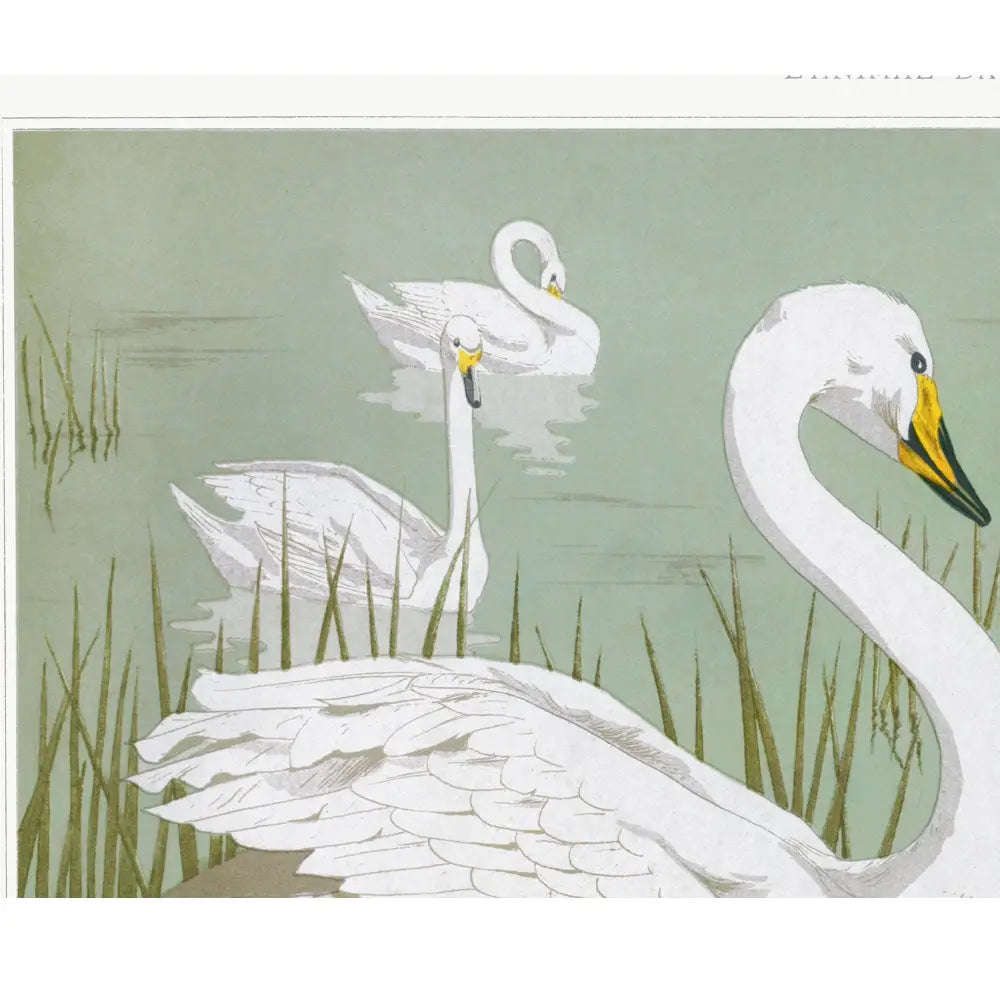 Moody Vintage Swans Print Nouveau Artwork In Light Green Wall Art For Elegant Living Room by My Store