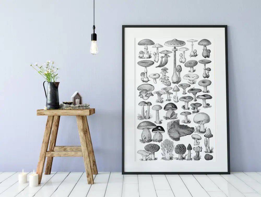 Mushrooms Vintage Illustration Black and White Botanical Print by My Store