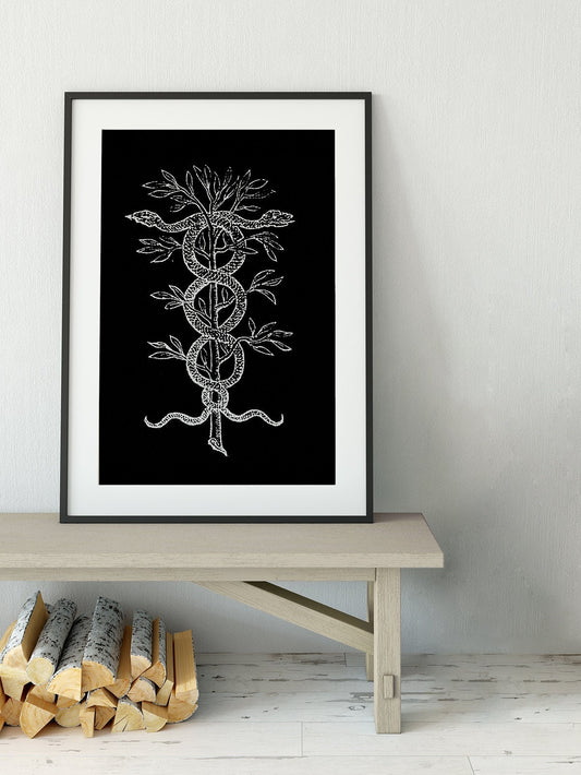 Snakes Caduceus (Medicine Symbol) - by Claude Paradin - Devises heroïques (1557) (No Frame)