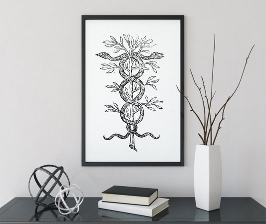 Snakes Caduceus Medicine Symbol Print By Claude Paradin No Frame Antique Icon Art Reproduction by My Store