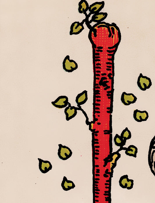 Ace of Wands Tarot Card Print No Frame by My Store