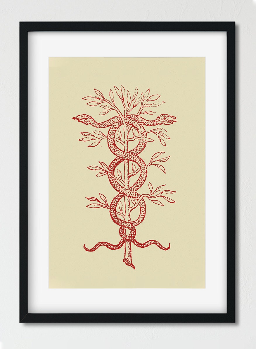 Four Minimalist French Emblems Caduceus (Medicine Symbol), Porcupine and Deer with Crown - by Claude Paradin - Devises heroïques (1557)