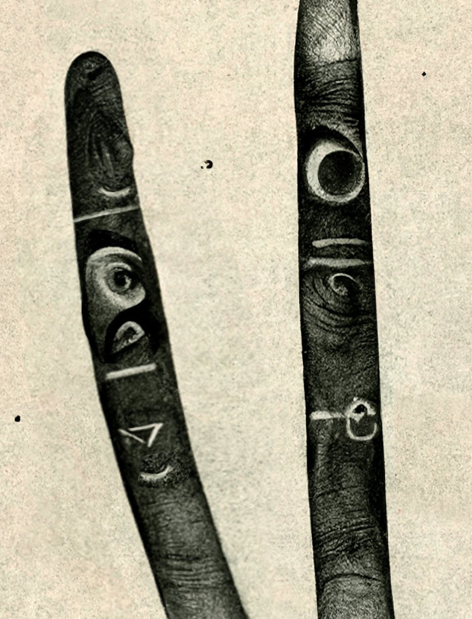 Palmistry Print - Hand of Glory - Divination Print (Poster, No Frame)