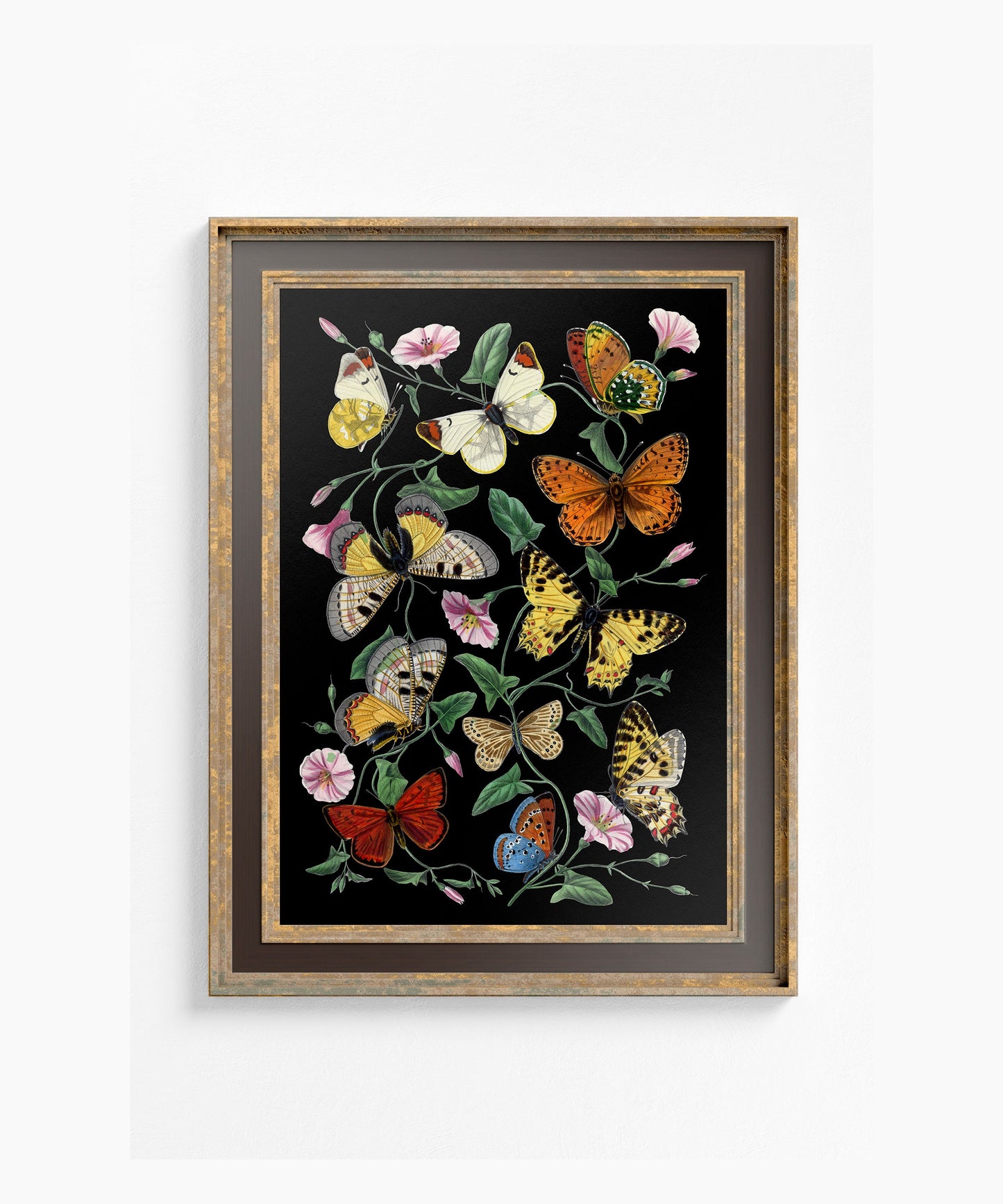 Black Butterflies Print - Vintage Print - Butterfly Poster Print - Bohemian Print Large Artwork