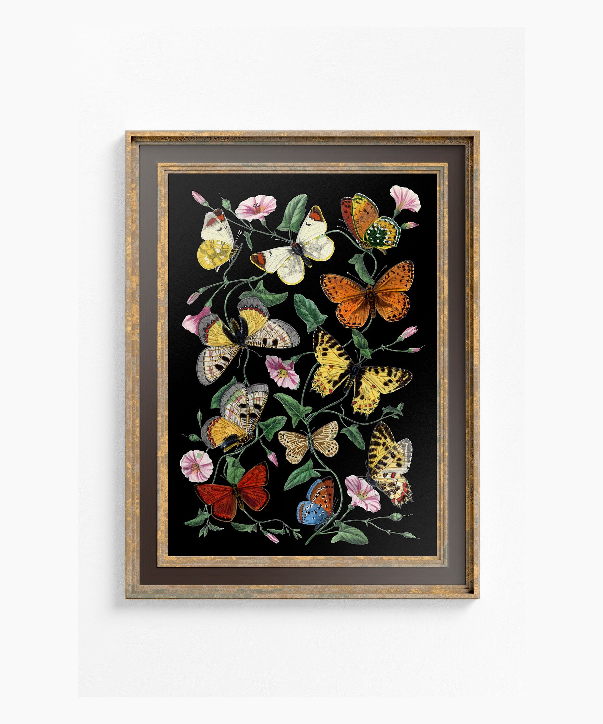 Black Butterflies Print - Vintage Print - Butterfly Poster Print - Bohemian Print Large Artwork