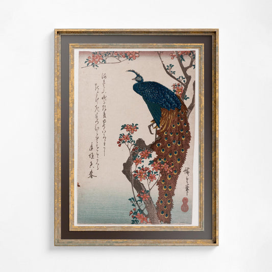 Japanese Vintage Peacock Print - Ornate Nouveau Print - Bohemian Print - Hiroshige
