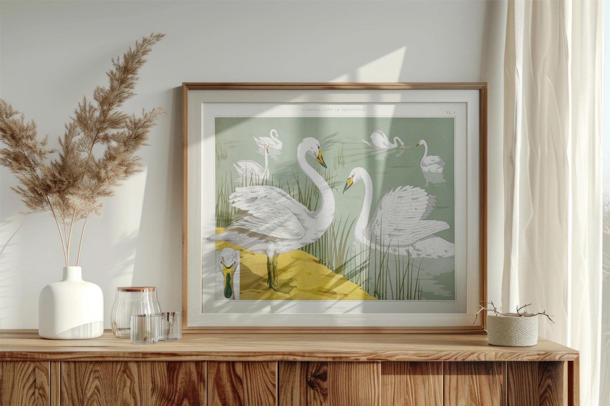 Moody Vintage Print - Swans - Nouveau Artwork - Light Green