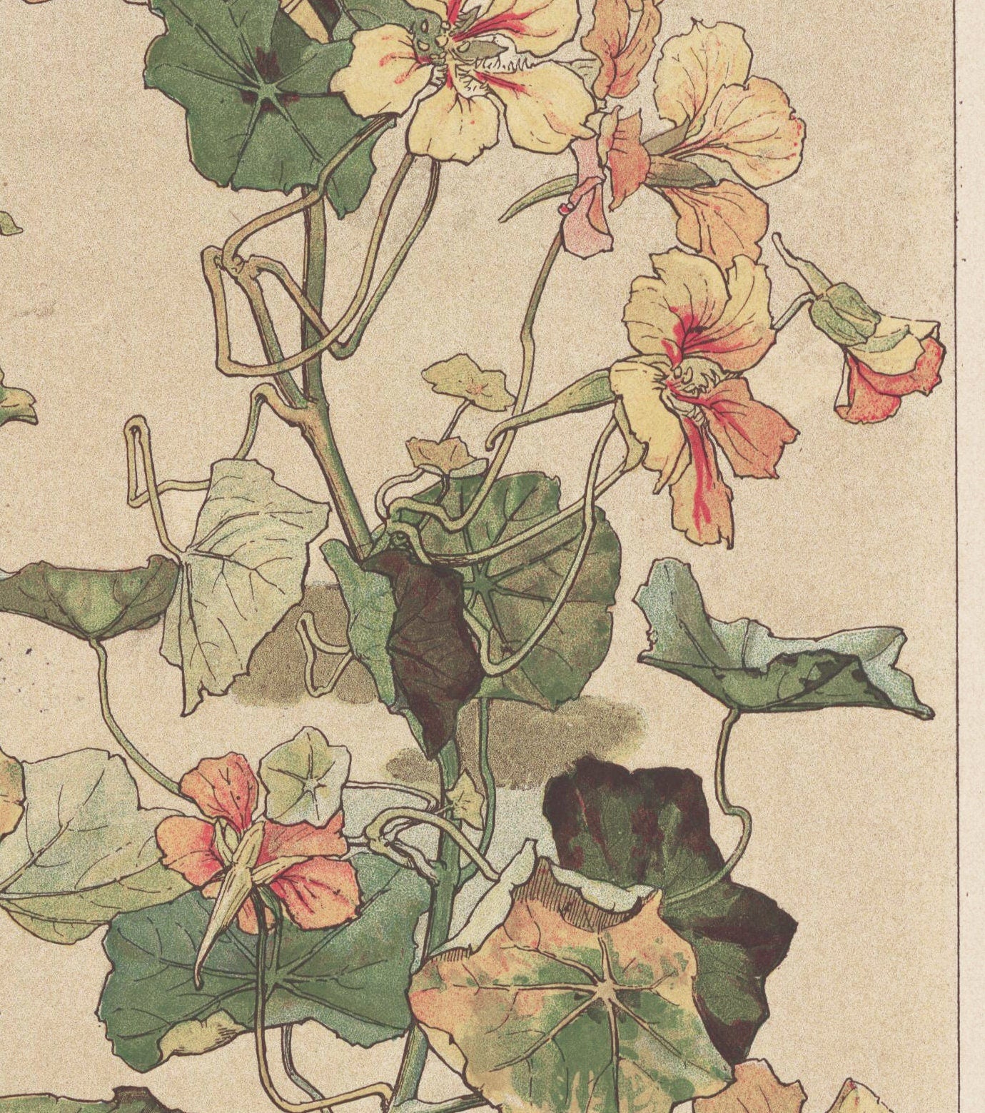 Vintage Floral Art - Paris - Ornate Nouveau Print - Bohemian Print Large Artwork - Beige