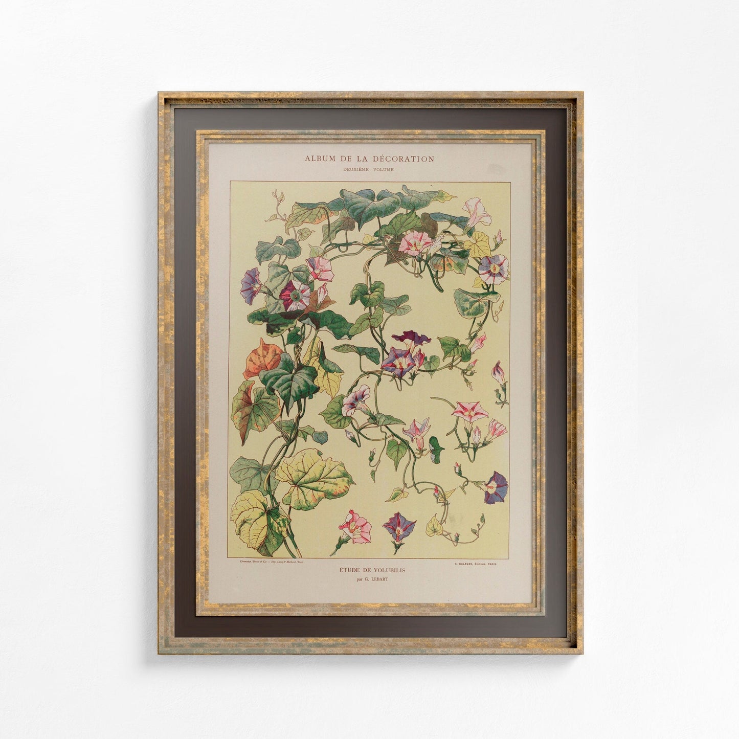 Vintage Floral Art - Paris - Ornate Nouveau Print - Bohemian Print Large Artwork - Beige - Ivy
