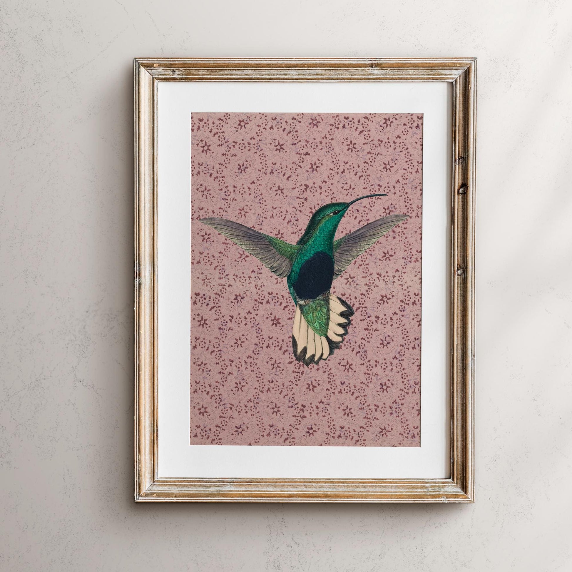 Vintage Hummingbird Print - Pink - Hummingbird Lover Art