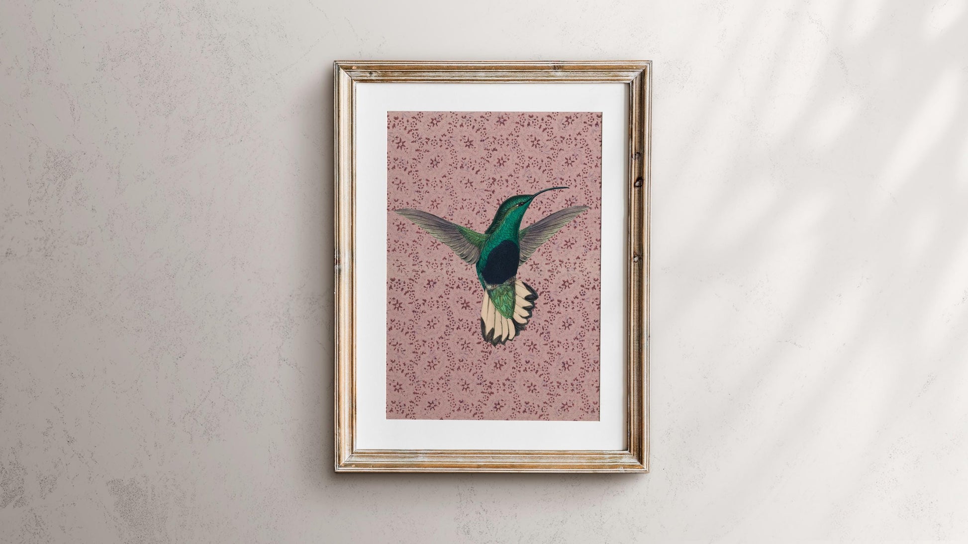 Vintage Hummingbird Print - Pink - Hummingbird Lover Art
