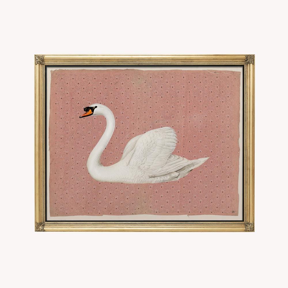 Vintage Swan - Peach and Off White Print - White Swan Illustration Print