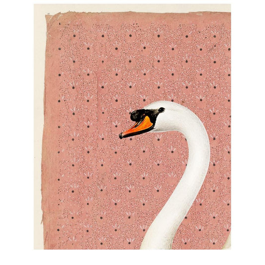 Vintage Swan Peach and Off White Print Artwork Premium Archival Matte Fine Art Print by My Store