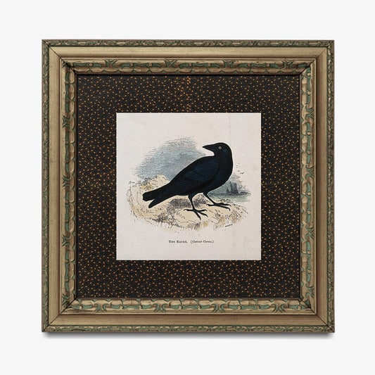 Vintage Crow Print - Square Crow Print - Beige and Black - The Raven
