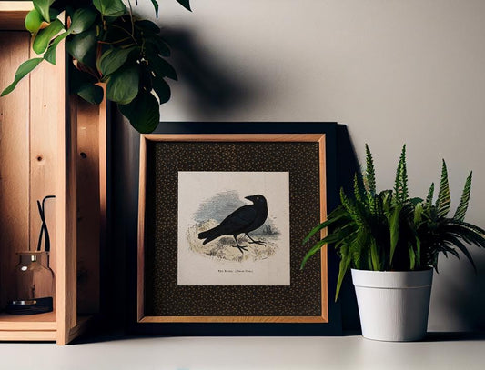 Vintage Crow Print Square Beige and Black Art The Raven by My Store