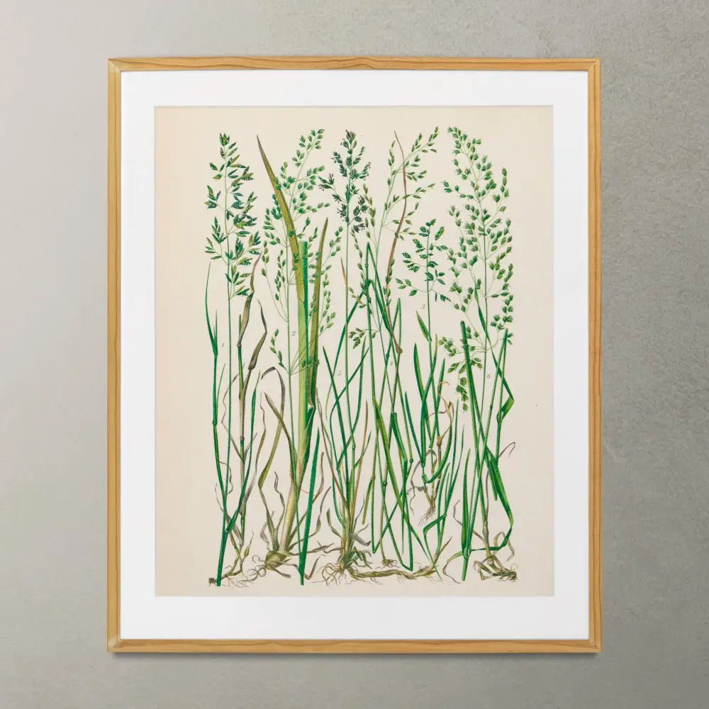Nouveau Botanical Print Green Minimalist Grass Art by My Store
