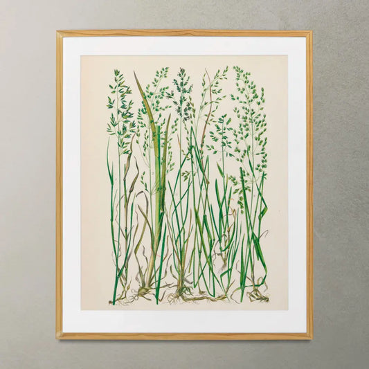 Nouveau Botanical Print Green Minimalist Grass Art by My Store