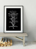 Snakes Caduceus Medicine Symbol Print By Claude Paradin No Frame Antique Icon Art Reproduction by My Store