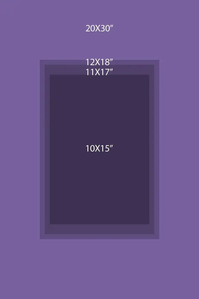 The Fool Tarot Card Three Color Print Poster No Frame by My Store