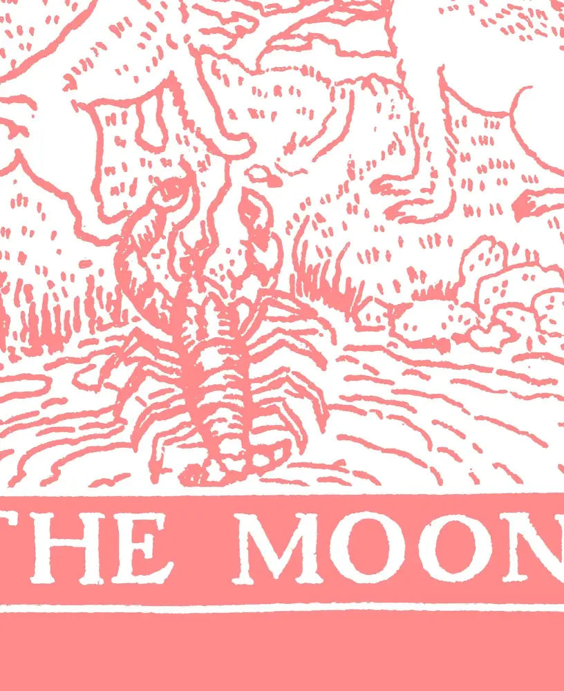 The Moon Tarot Card Print Pink and White Poster No Frame by My Store