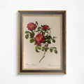 Vintage Beige And Red Roses Art Print On Premium Archival Matte Paper by DesignBohemian