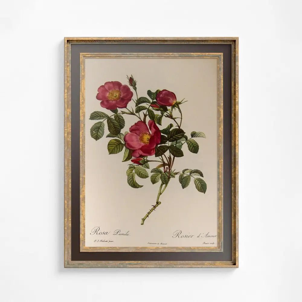 Vintage Beige And Red Roses Art Print On Premium Archival Matte Paper by DesignBohemian