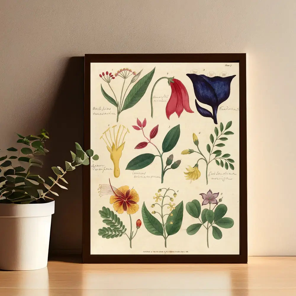Vintage Botanical Art Print Floral Illustration Archival Matte by My Store