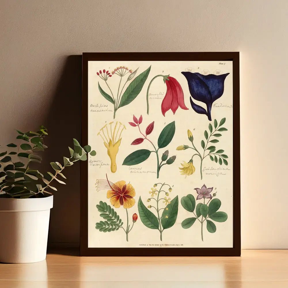 Vintage Botanical Art Print Floral Illustration Archival Matte by My Store