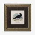 Vintage Crow Print Square Beige and Black Art The Raven by My Store