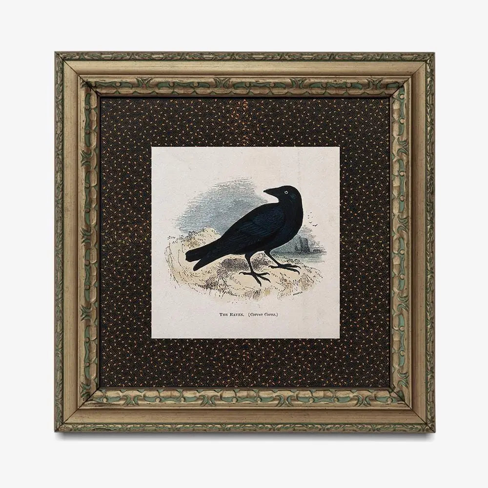 Vintage Crow Print Square Beige and Black Art The Raven by My Store