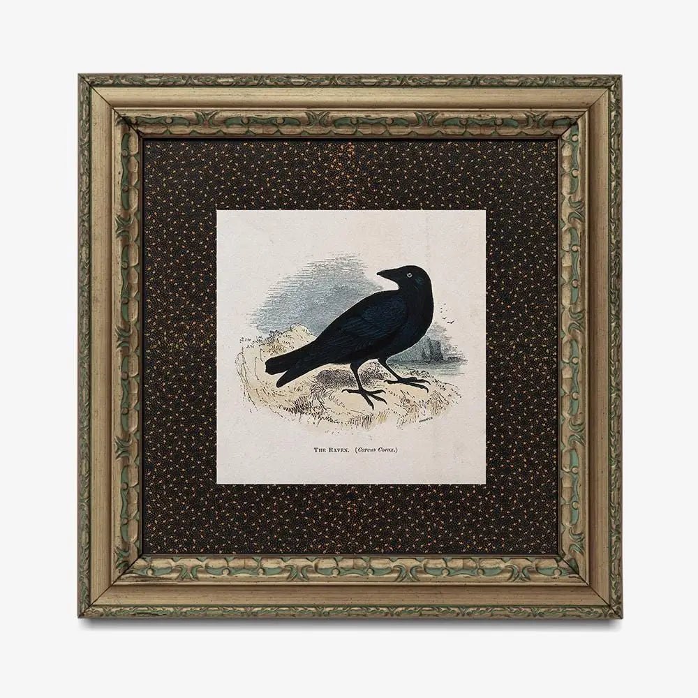 Vintage Crow Print Square Beige and Black Art The Raven by My Store