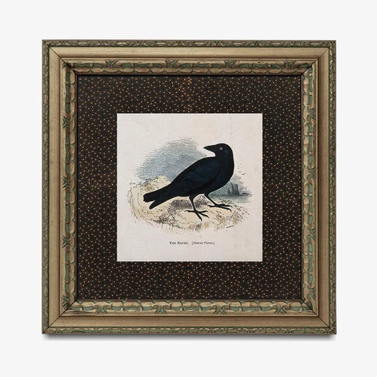 Vintage Crow Print Square Beige and Black Art The Raven by My Store