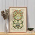 Vintage Green Art Nouveau Poster With Neutral Floral Mandalas Premium Archival Print by My Store
