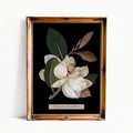 Vintage Magnolia Moody Floral Art Print Beige and Black Wall Decor for Dark Academia Whimsigoth Interiors by My Store