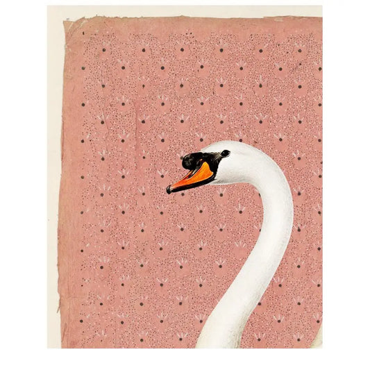 Vintage Swan Peach and Off White Print Artwork Premium Archival Matte Fine Art Print by My Store