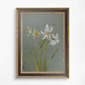 Vintage White Floral Botanical Art Print On Premium Matte Paper by DesignBohemian