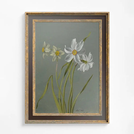 Vintage White Floral Botanical Art Print On Premium Matte Paper by DesignBohemian