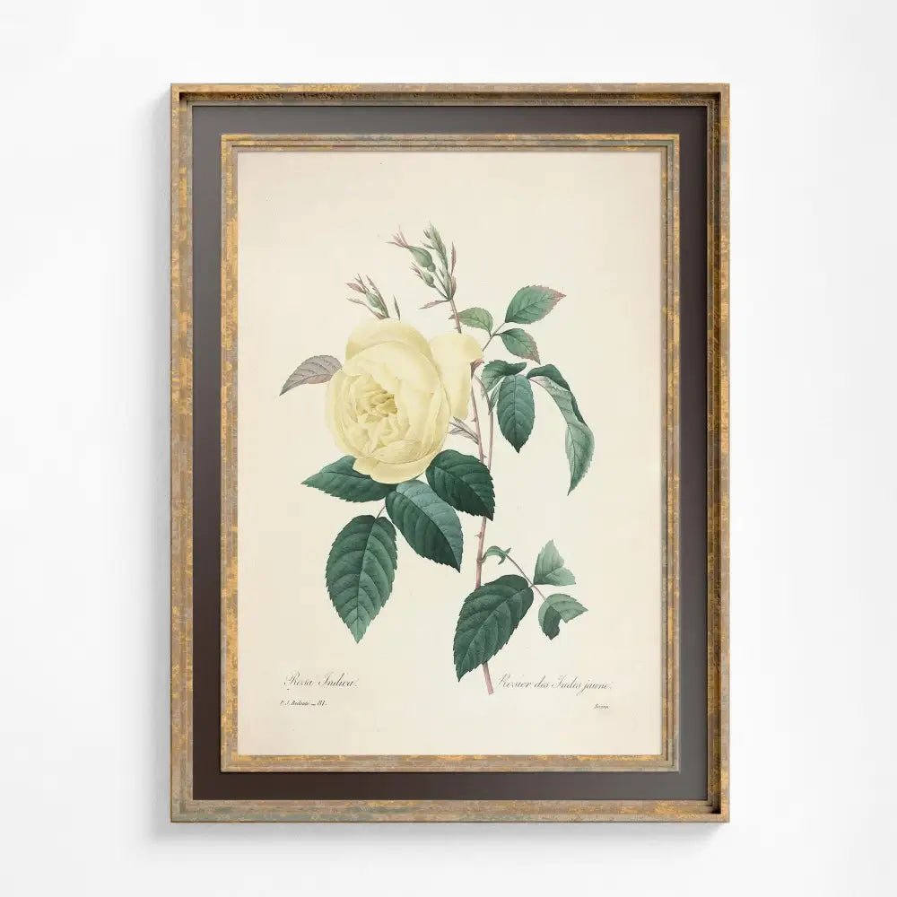 Vintage Yellow Roses Floral Print Beige And Yellow Botanical Art by DesignBohemian