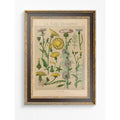 Wildflowers Vintage Botanical Art Nouveau Poster Print Large Premium by My Store